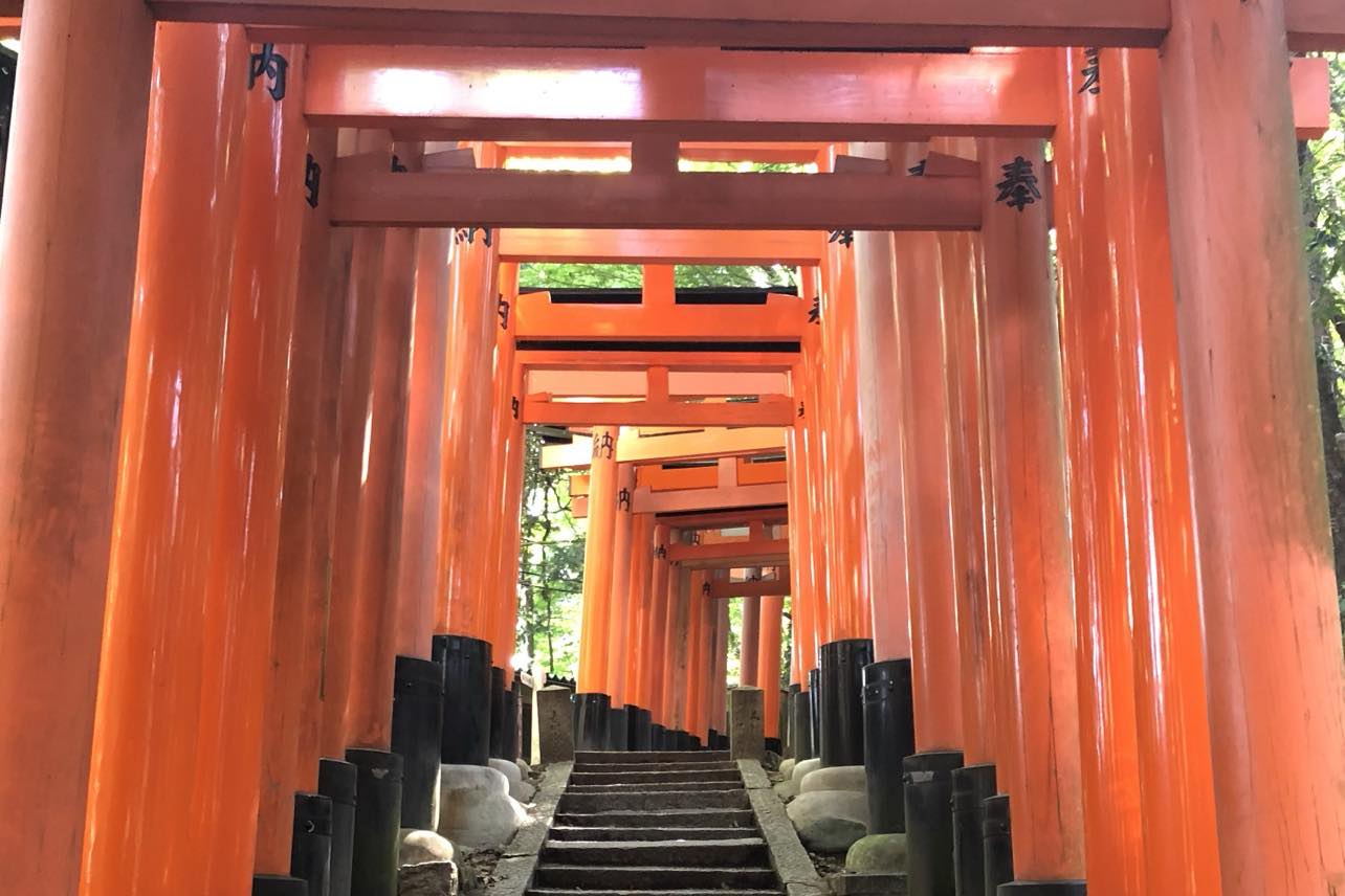 Best Kyoto Tour guiding